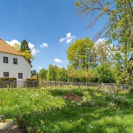 Die Himmlische - Gemuetliche Ferienwohnung Zum Entspannen كليفي المظهر الخارجي الصورة